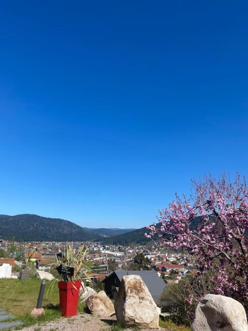 Le Nid D'abeille Pour 2 Pers,2spa,belle Vue Avec Terrasse Apartment *
